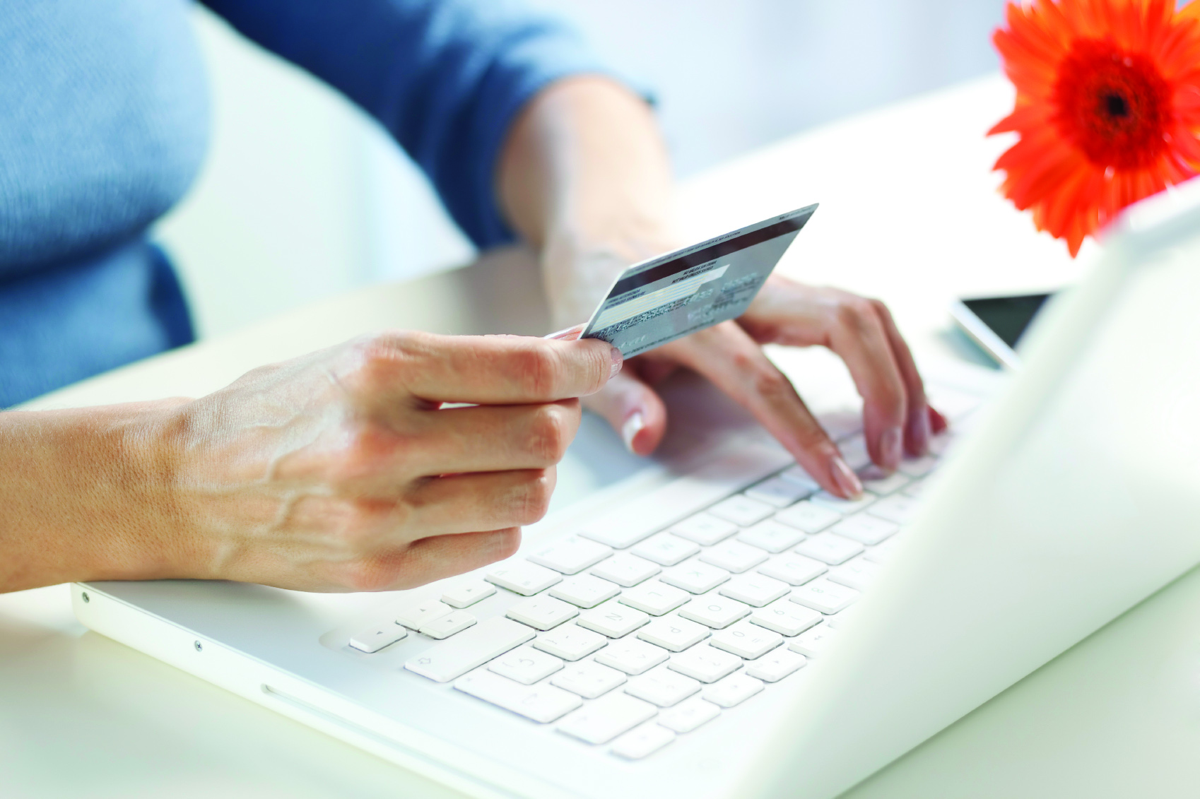 Annual Member Reporting & Fees